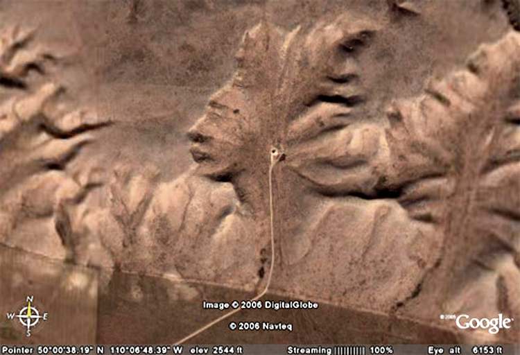 Click to enlarge Example Image