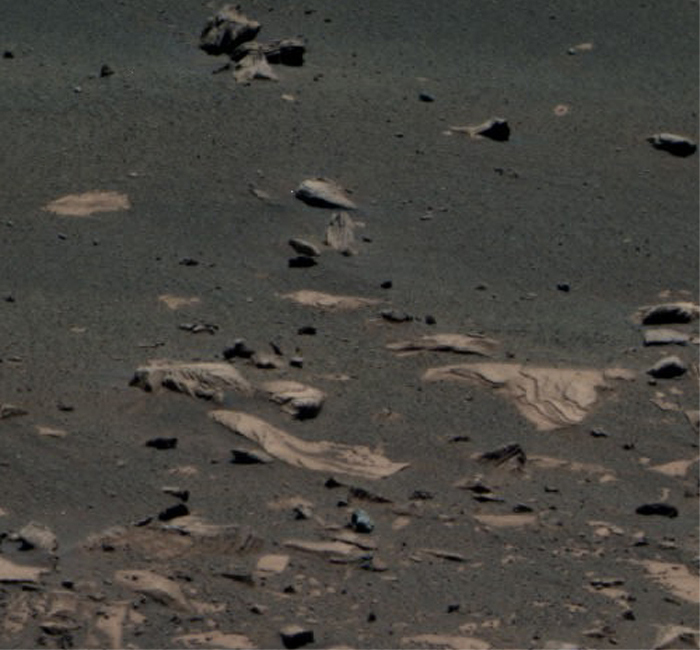 Click to enlarge Image