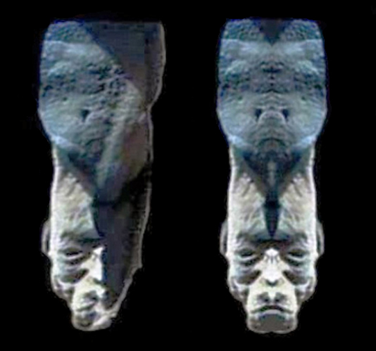 Click to enlarge