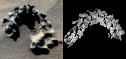 Comparison Image Comparison Image