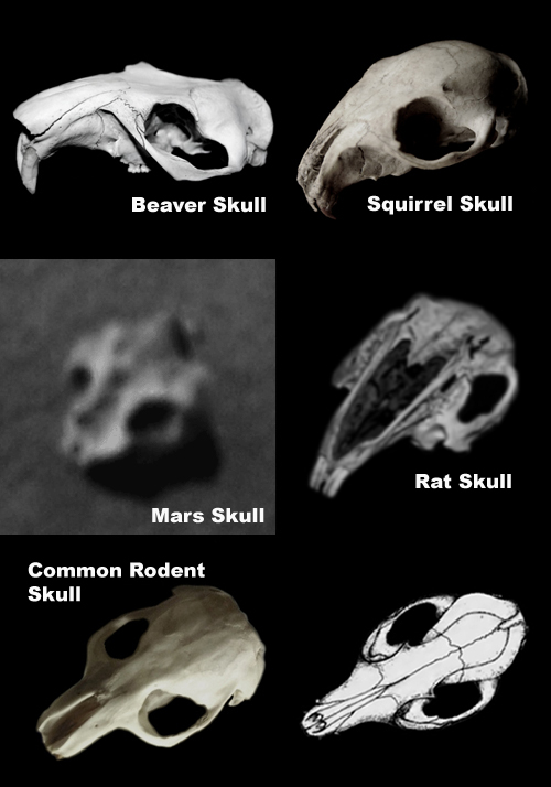 Comparative Examples Comparative Examples