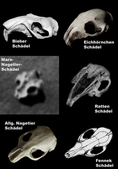 Vergleichsbeispiele Vergleichsbeispiele