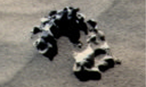 Mars Spine Mars Spine