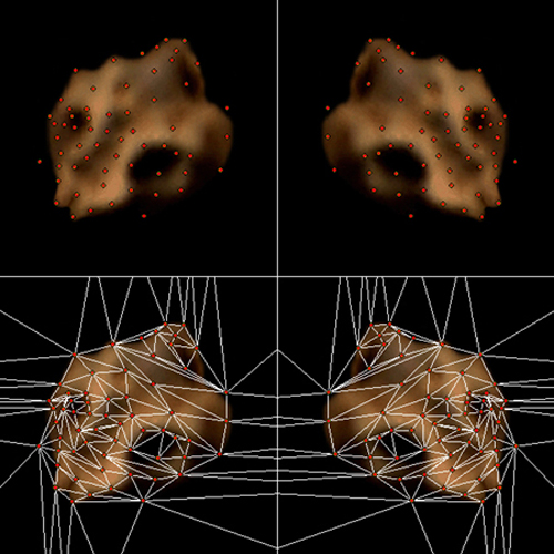 Points of symmetry Points of symmetry