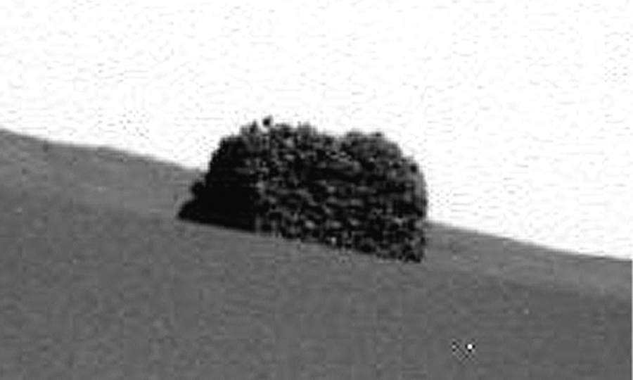 Click to enlarge Spirit Aufnahme - Sol 728 - Fokus
